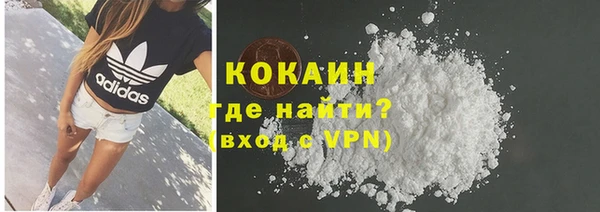 бошки Алексин