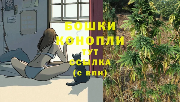 бошки Алексин