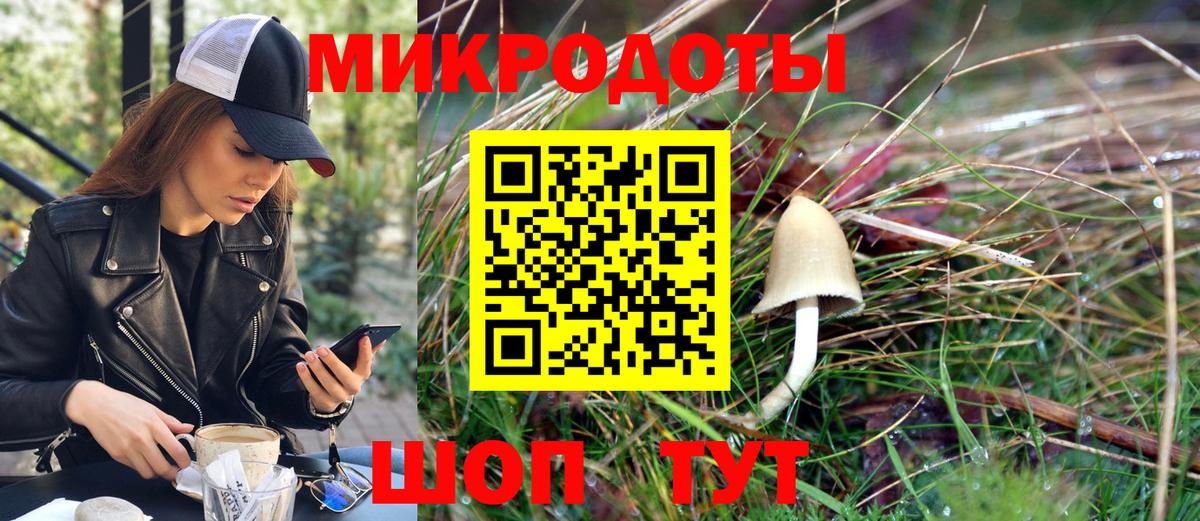 Псилоцибиновые грибы MAGIC MUSHROOMS  Вход с VPN  Зерноград  Псилоцибиновые грибы GOLDEN TEACHER 