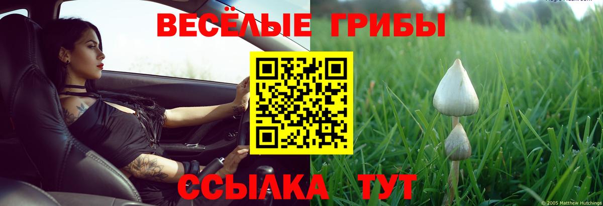 Галлюциногенные грибы Cubensis Зерноград