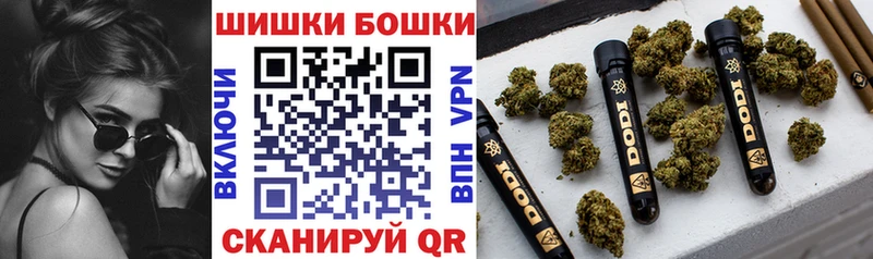 hydra ТОР  Зерноград  Каннабис планчик 